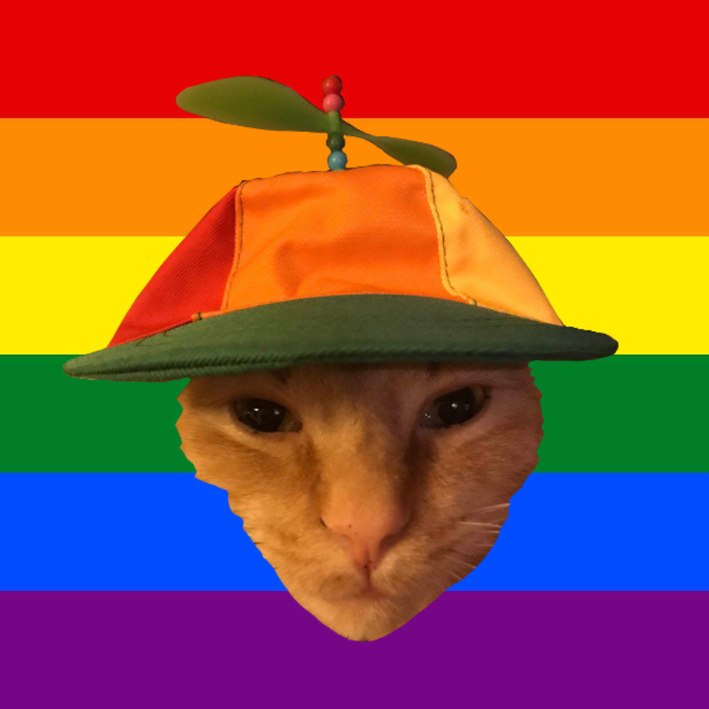 PRIDE! LGBTQIA+ Artists & Items – Needlejuice Records