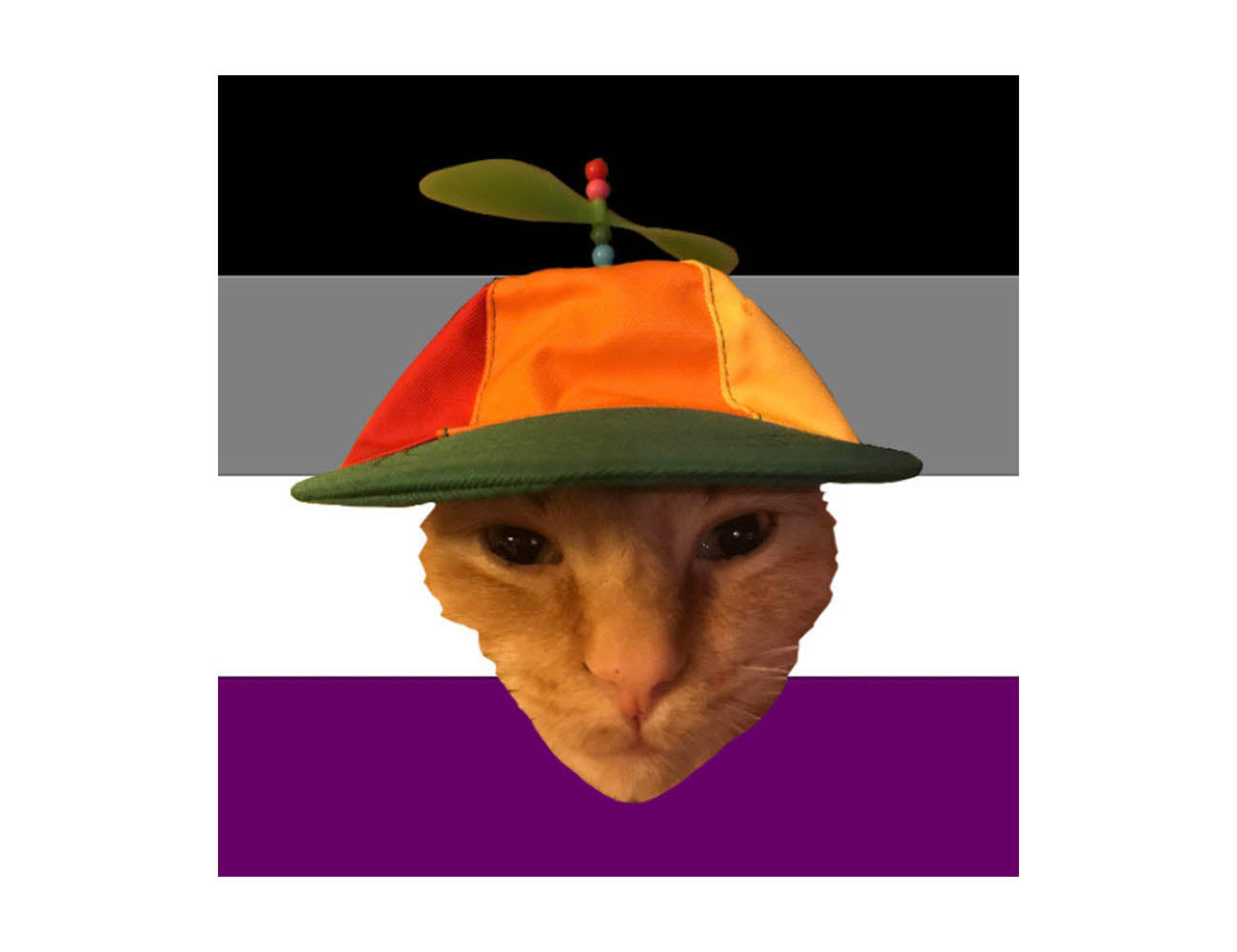Tango Ace Pride Sticker