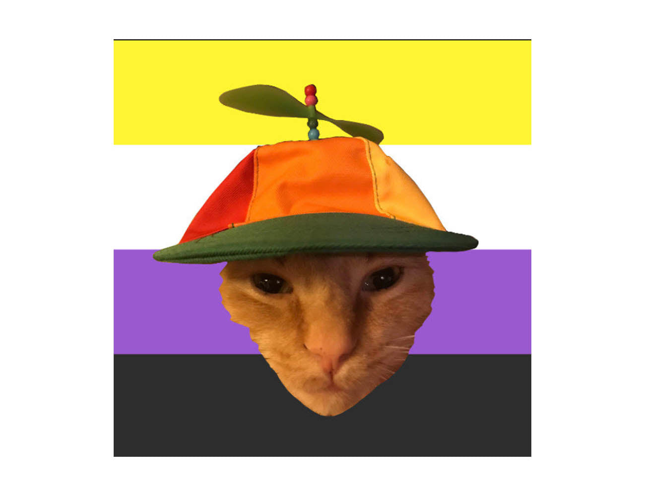 Tango Non-Binary Pride Sticker