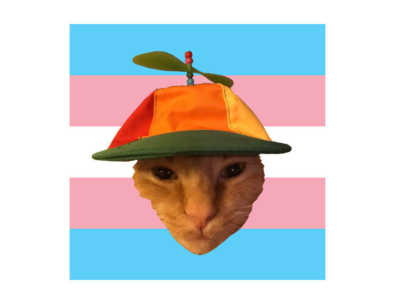 Tango Trans Pride Sticker