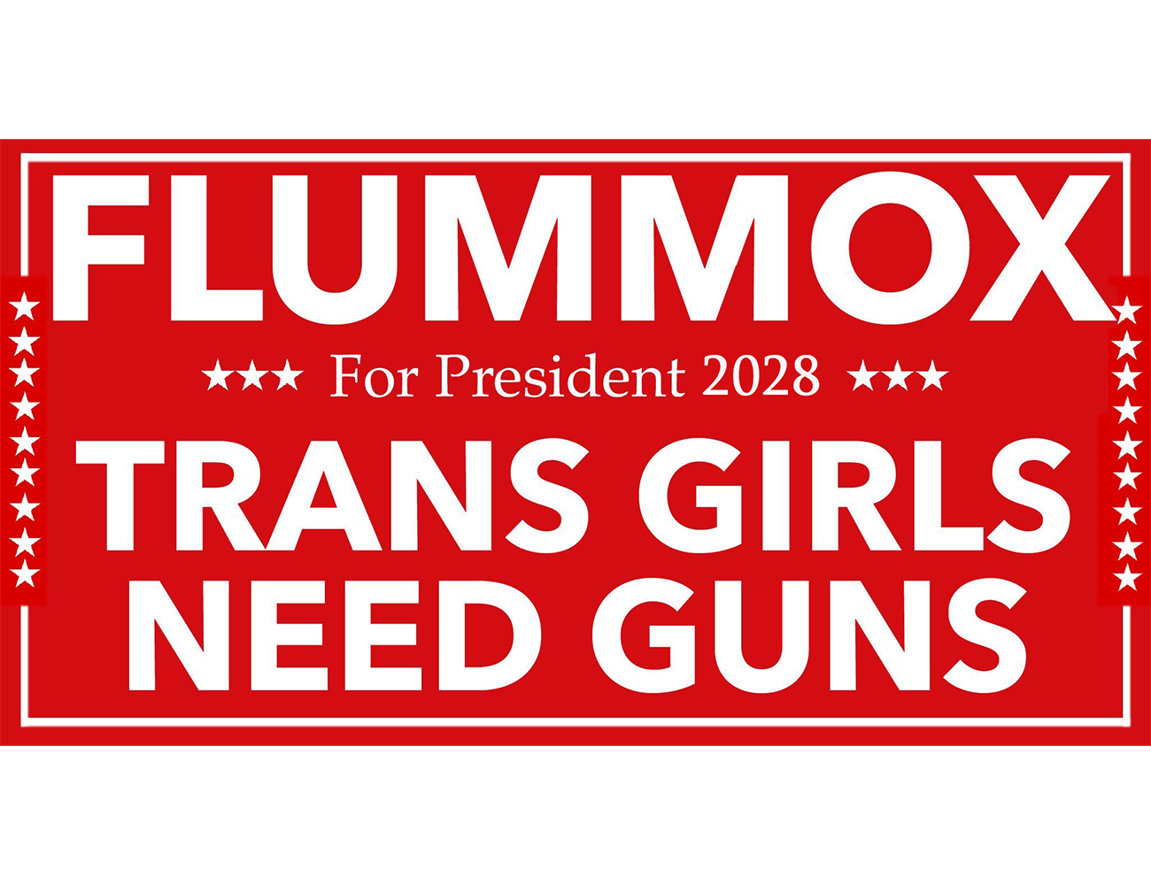 Trans Girls Need Guns Bumper Sticker