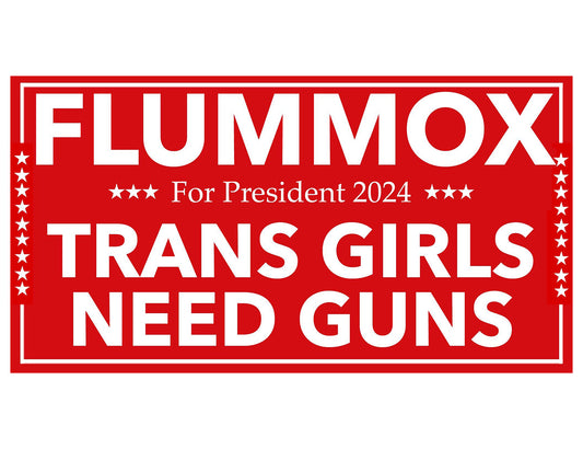 Trans Girls Need Guns Bumper Sticker