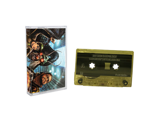The Dewey Decibel System - Cassette